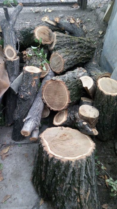 Отличные сухие дрова -  4 куба
