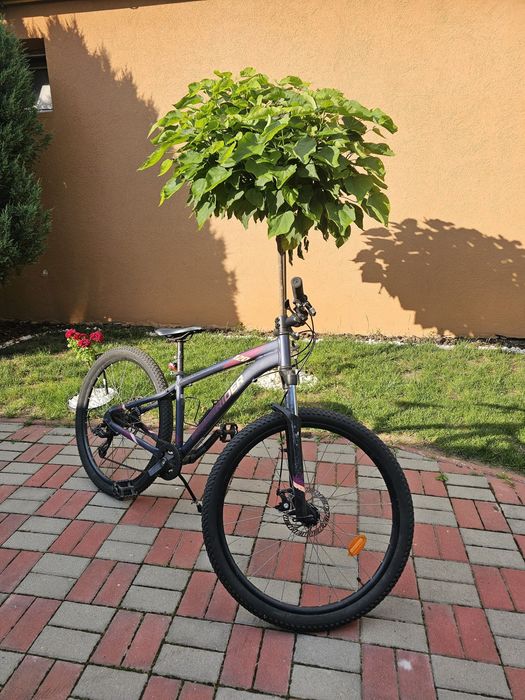 Vand doua biciclete cu roti de 26"