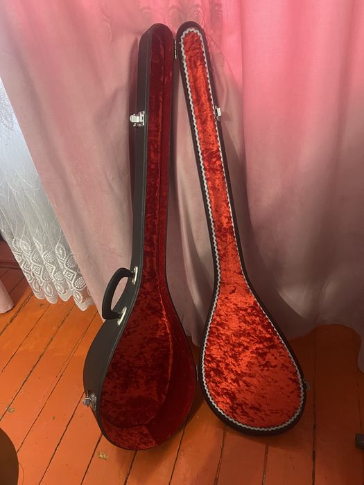 Ақынның домбырасы