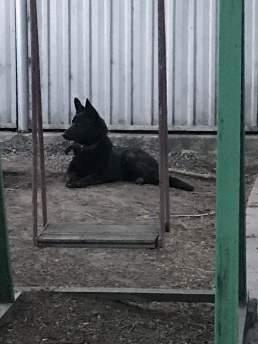 Кабель. Вязка. Ищем девочку для вязки.