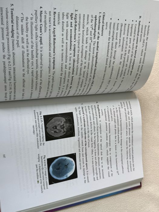 Clinical Neuroanatomy , Борислав Китов