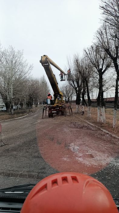 Обрезка деревьев. Формовка, вывозка.
