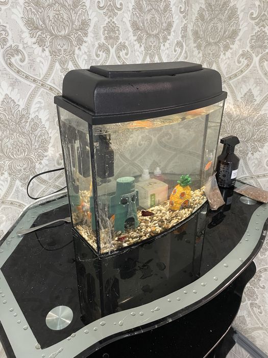 аквариум состоение новая