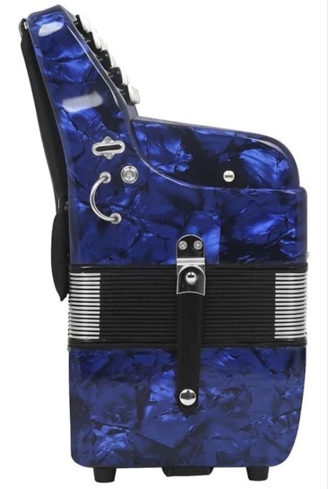 Баян, Weltmeister