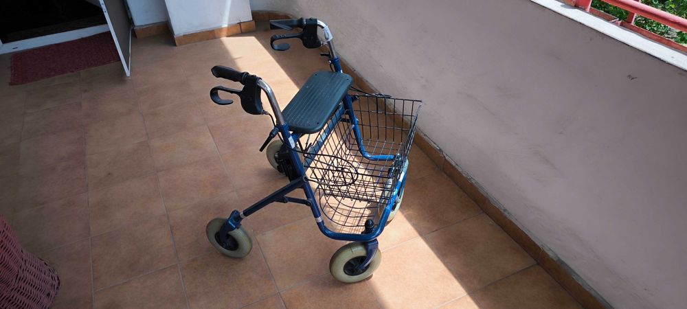 Căruț cu scaun pentru cumpărături !