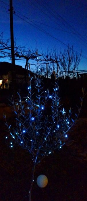 LED соларни коледни градински лампи