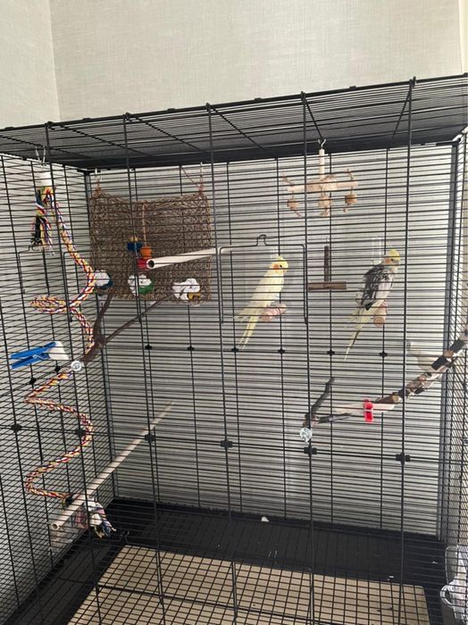 Клетка для попугая большая