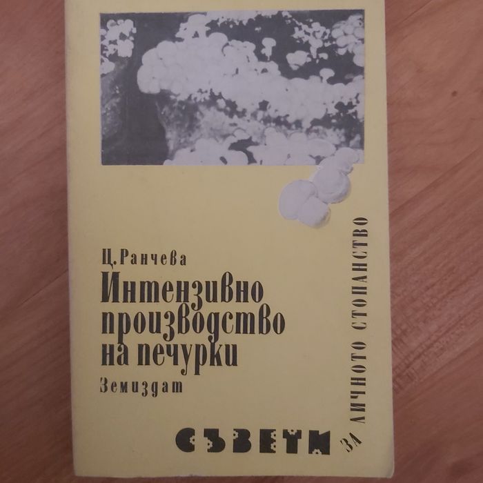 Учебници и книги