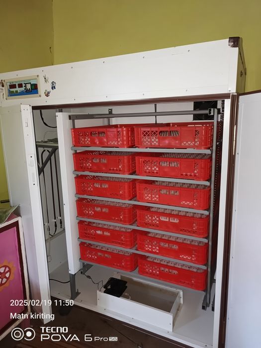 Inkubatir. EKBOKIS. Aftomat 1056