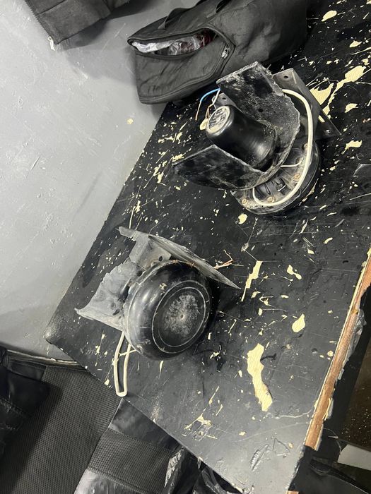 Sirena 2ta karneli qora