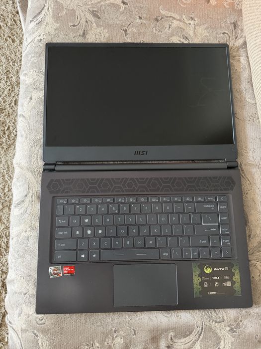 MSI Delta 15 Ryzen 7 5800H / RX 6700M / 32GB RAM – display defect