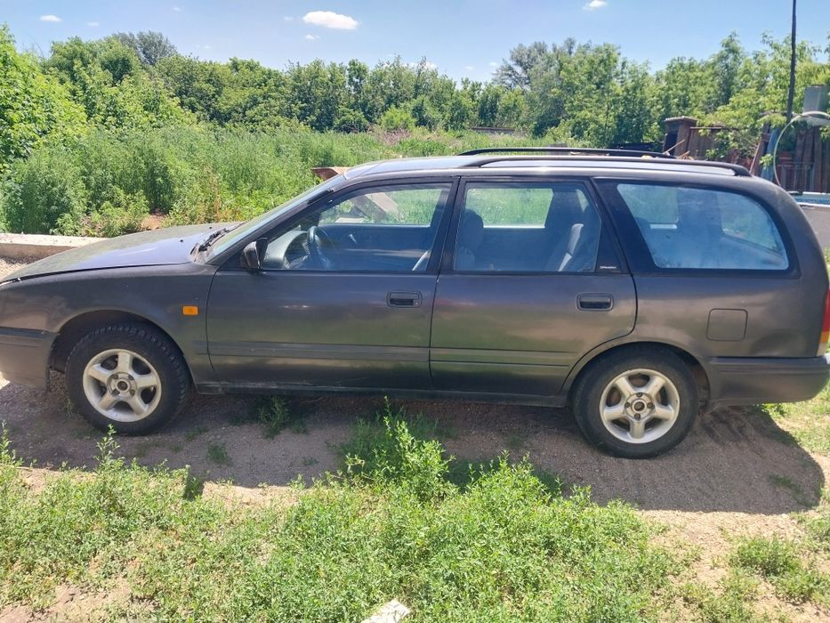 Nissan primers  1900