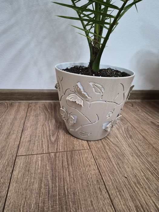 Vând ghivece 3D cu fluturi 5.3 L