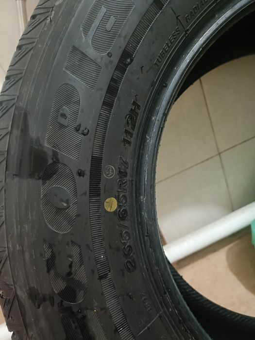 Шины Bridgestone Ecopia