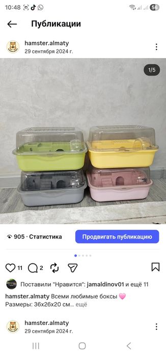 Новые клетки + хомячок в подарок