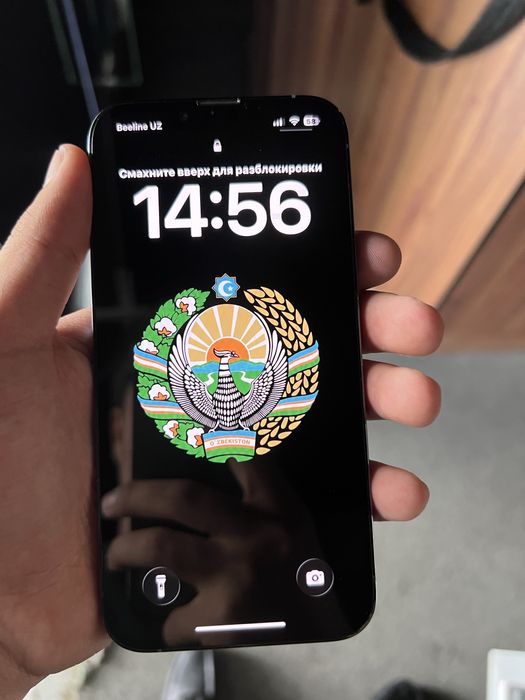 Iphone 13 pro blue