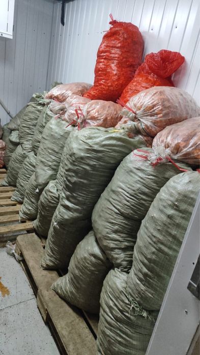 Морковные отходы