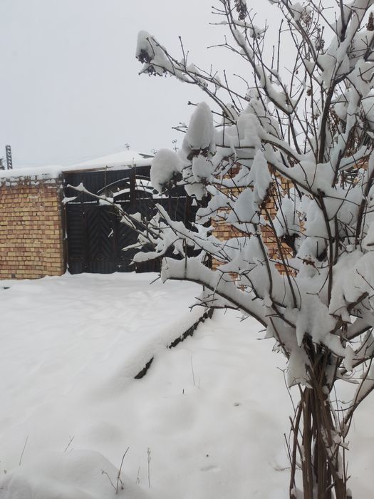 Продам дом в хорошем состоянии в посёлке Туя-Бугуз ( Таш-море)