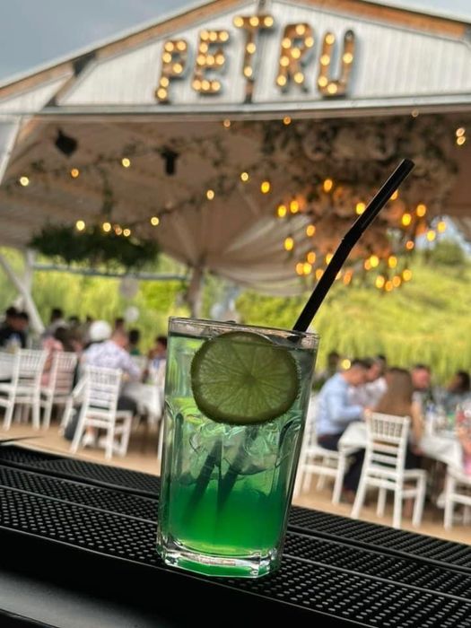 Bar mobil/Cocktail’s bar/Tort shot-uri