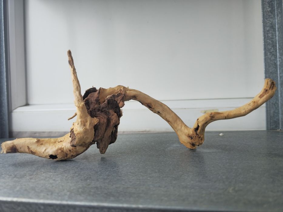 Cioate pentru acvariu Red Moor