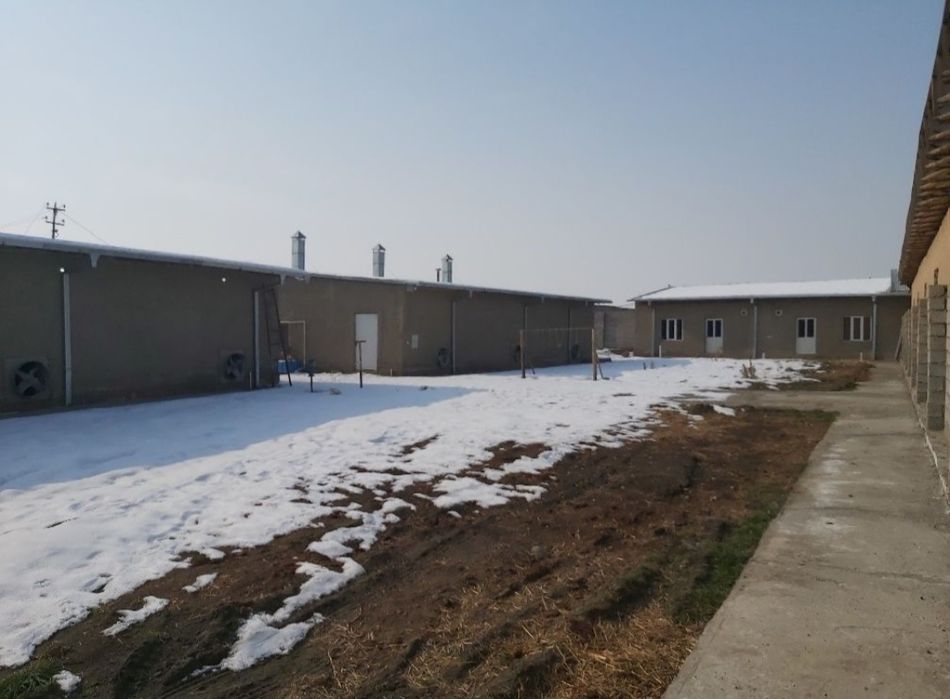 Сдается объект недвижимости.