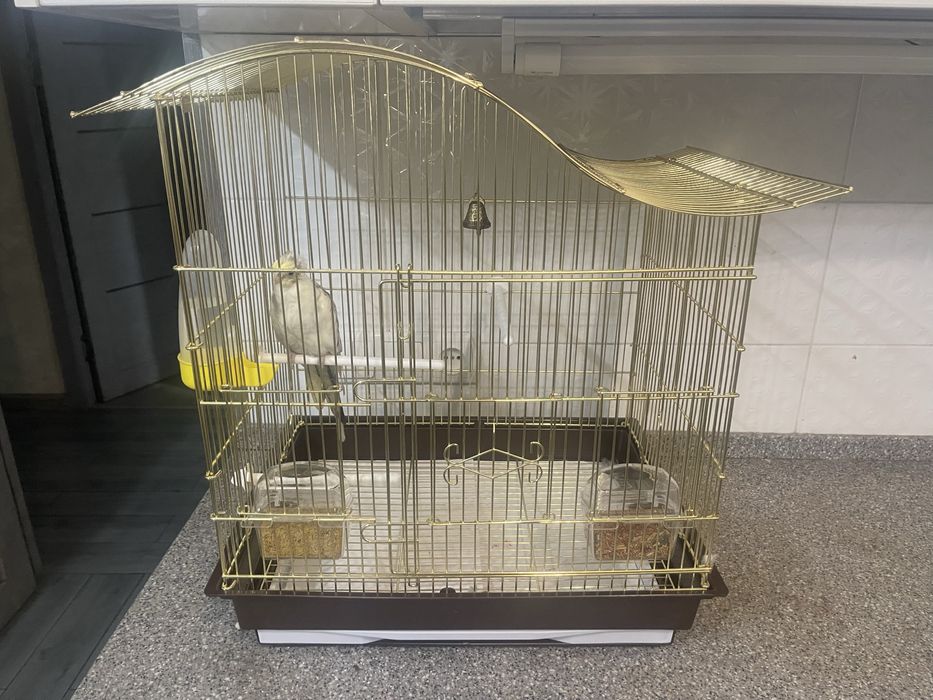 Клетка для попугаев ,сетка в подарок