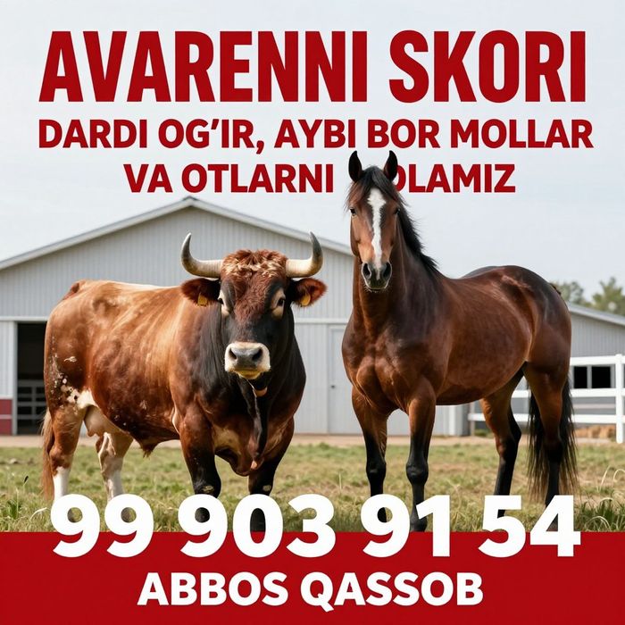 Qassob hizmatlari
