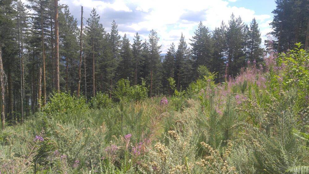 Земеделска земя до язовир, 4 дка.