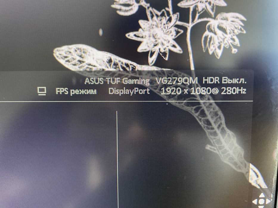 монитор asus tuf gaming vg279qm 280гц