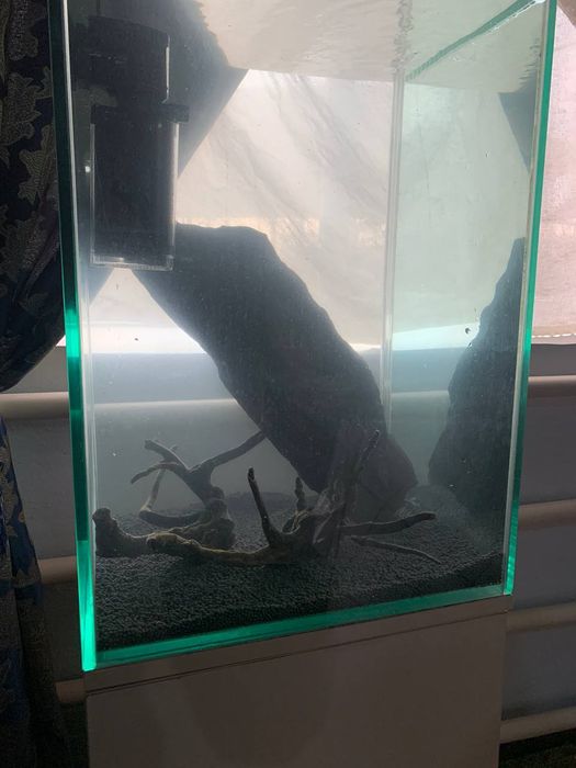 Аквариум  700.000 сум