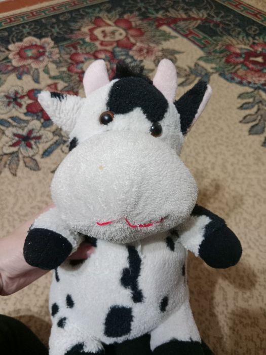 Eshakda uxlayotgan odamlarning videolari