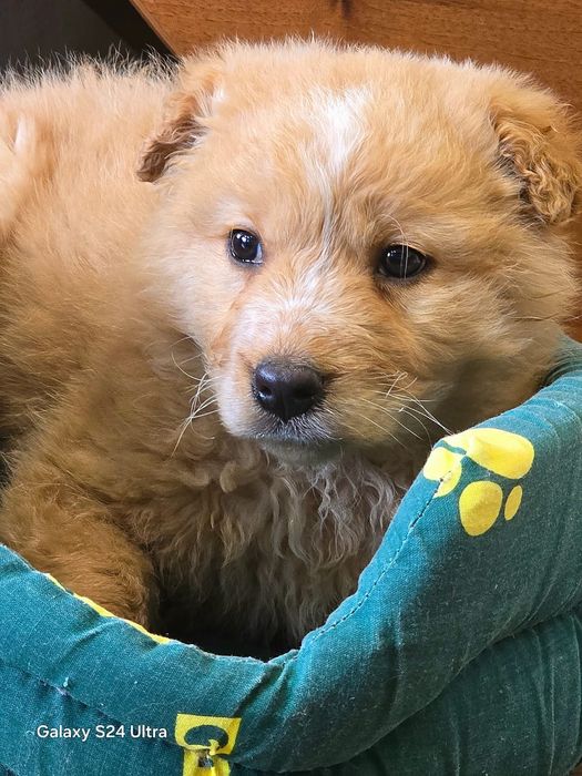 В самые добрые ручки