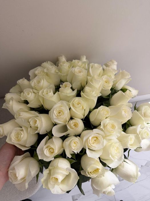 Белые розы 51шт 20к (торг есть)
