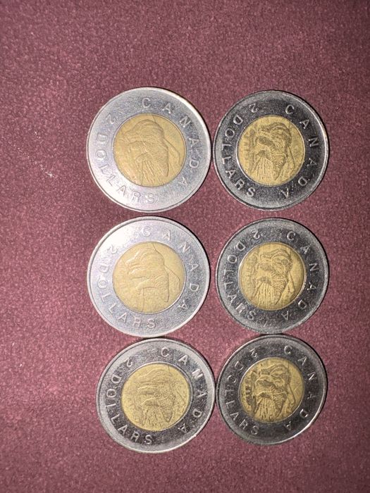 doi dolari canadieni din anul 1996