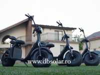 Ebike olx discount