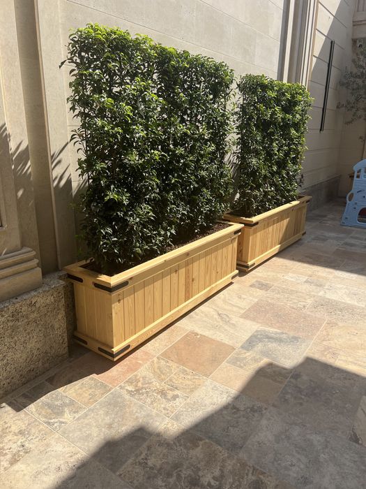 Кашпо, горшки, вазоны (гул тувак) для ваших цветов и растений