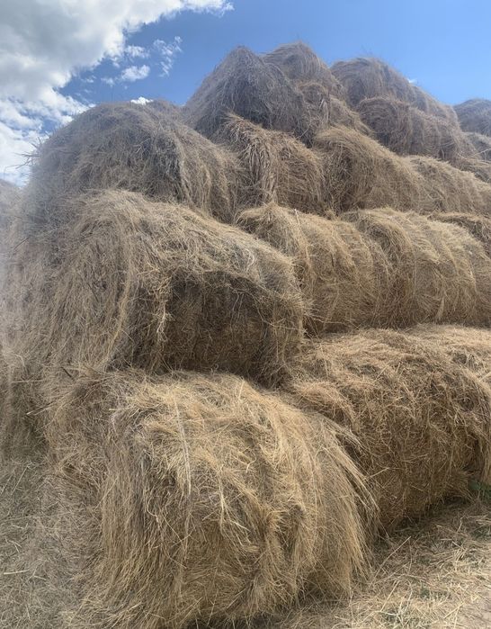 Продам сено по заказу
