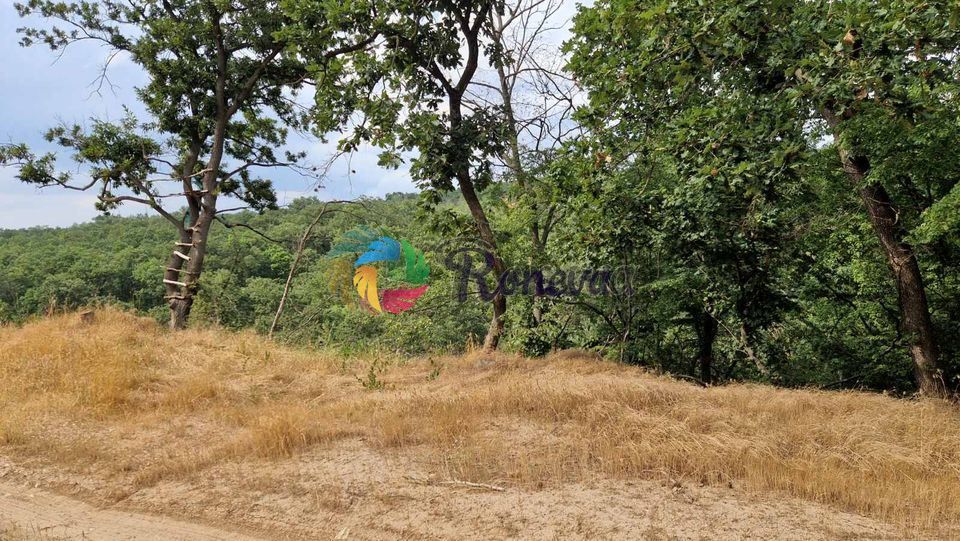 Продава се Парцел в с. Здравец, Област Варна - 2000 кв.м за 9 €/кв.м - Снимка #3