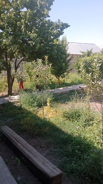 Продается дом в хорошем районе