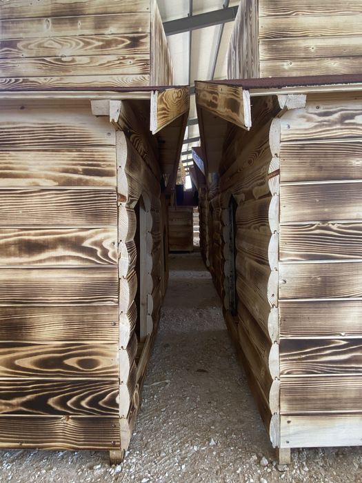 Кучешки колиби.