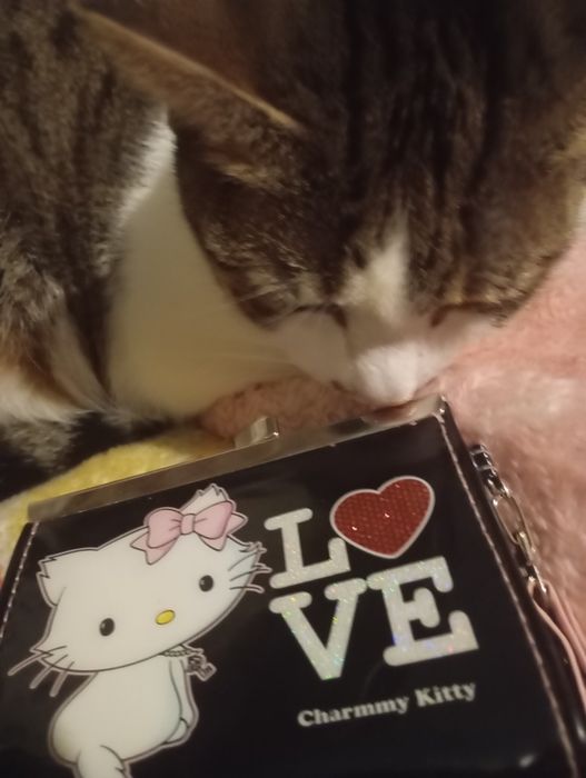 Portofel Charmmy Kitty de Colecție