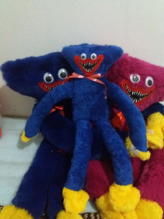 Радужни дузя и хаги киси