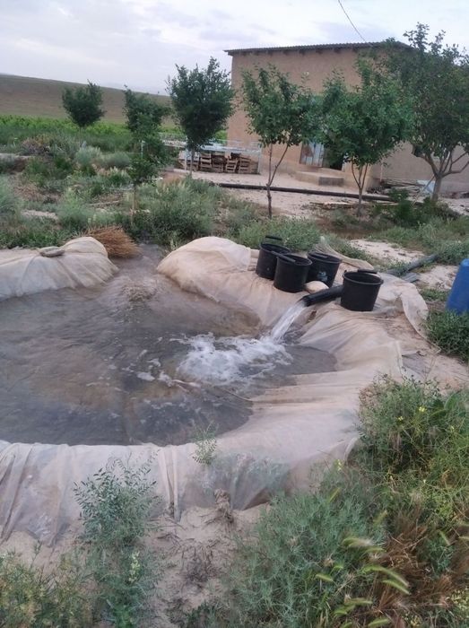 Uzumzor yerni ijaraga olish huquqi sotiladi