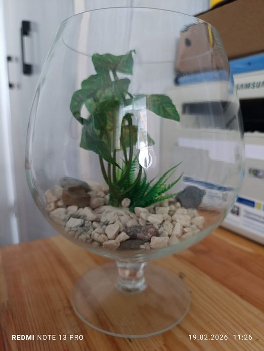 Аквариум для рыбок 3,5 литра