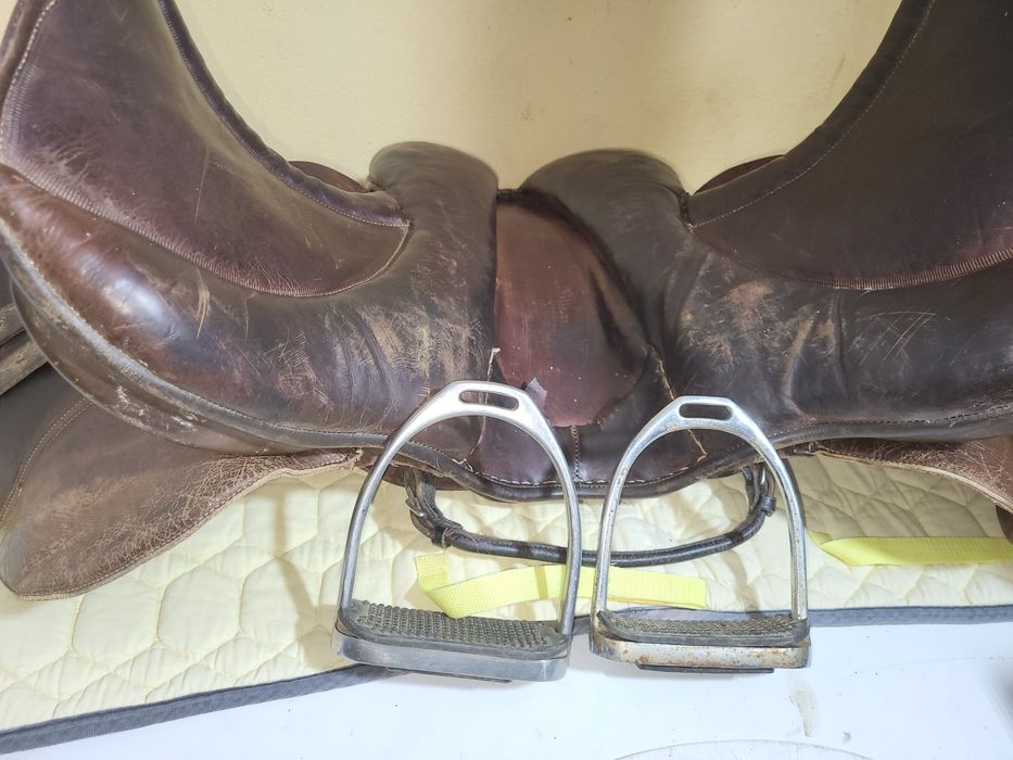 Șei echitație, calarie