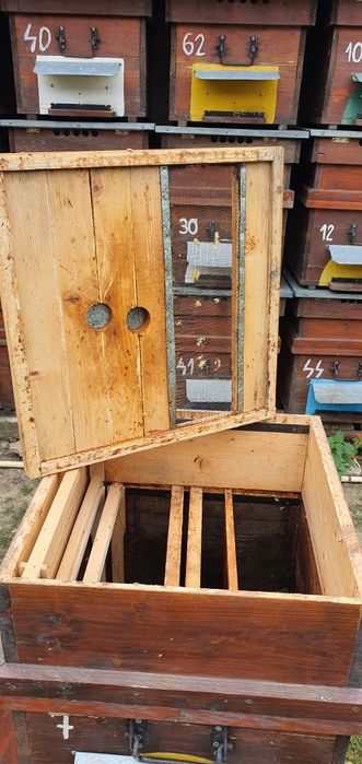 Vând stupi 12 rame cu cat 1/2