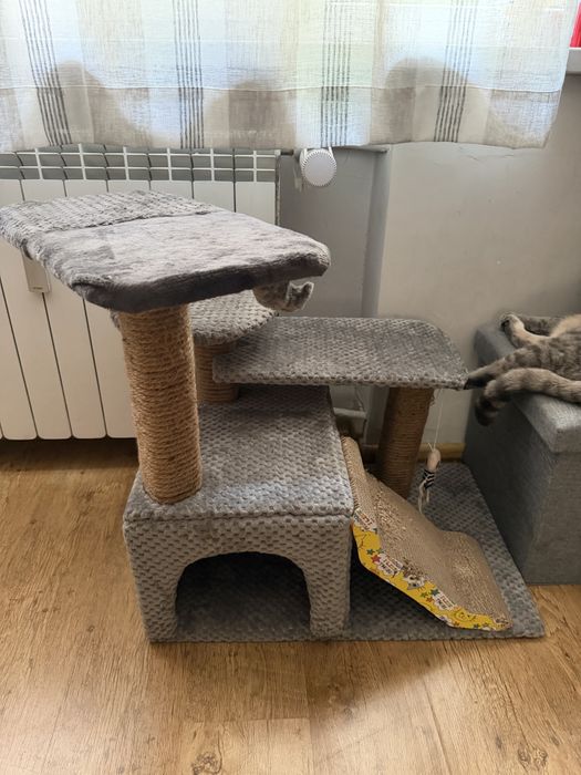 Катерушка за котка