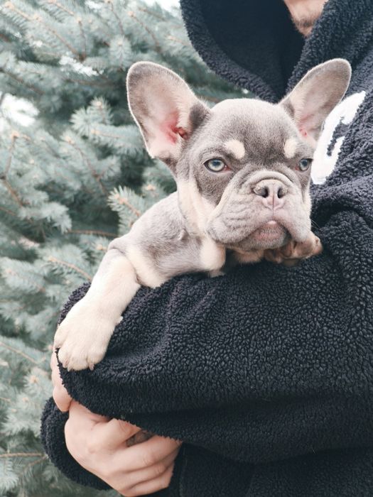 Замечательная девочка