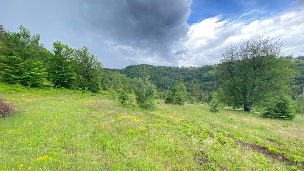Teren 30.000 mp de vânzare – Garda de Sus, Alba | Utilități | Parcelabil | Investiție Turistică