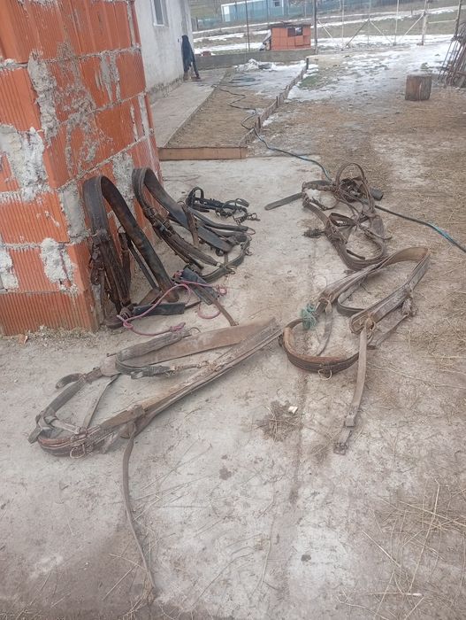 Vând hamuri pentru cai